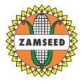 zamseed_logo